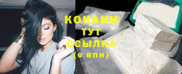 СК Инта