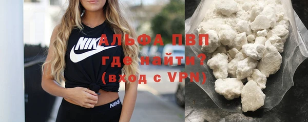 СК Инта