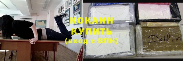 СК Инта