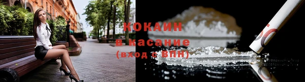 СК Инта