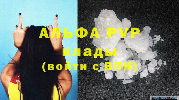 СК Инта